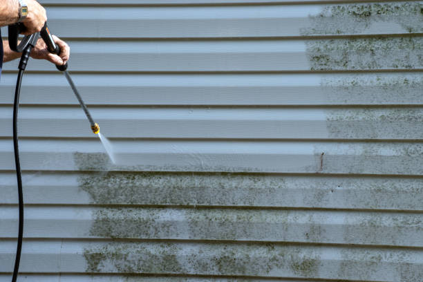 Best Carpet Removal and Disposal  in Cottonwood, AL
