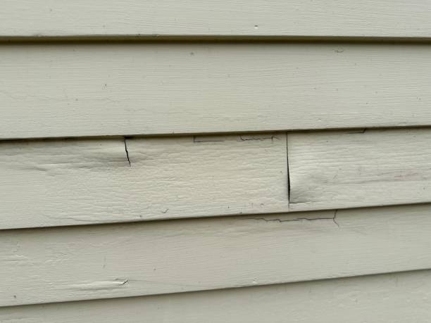 Best Construction Debris Removal  in Cottonwood, AL